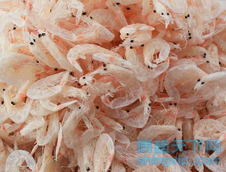 N-二甲基亞硝胺檢測