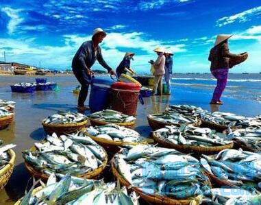 水產獸藥殘留檢測 水產獸藥殘留檢測