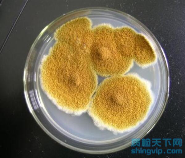 食品微生物檢測