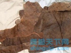 牛皮_皮革檢測鑒定中心